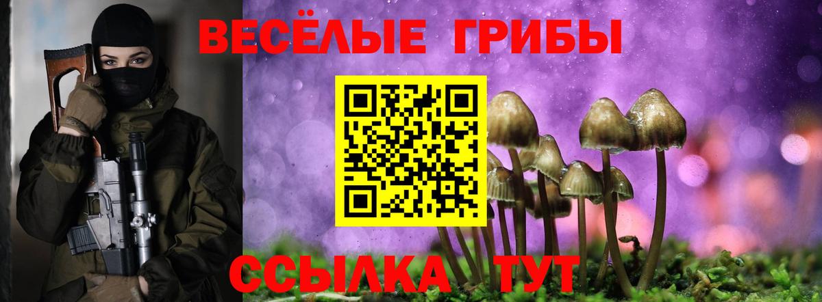 магазин  наркотиков  Вход с VPN  Алушта  Псилоцибиновые грибы Psilocybe 